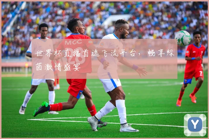 世界杯直播首选飞流平台，畅享绿茵激情盛宴