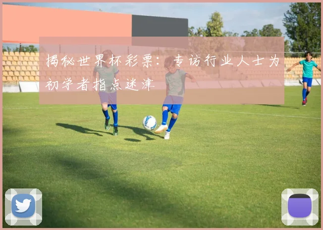 揭秘世界杯彩票：专访行业人士为初学者指点迷津