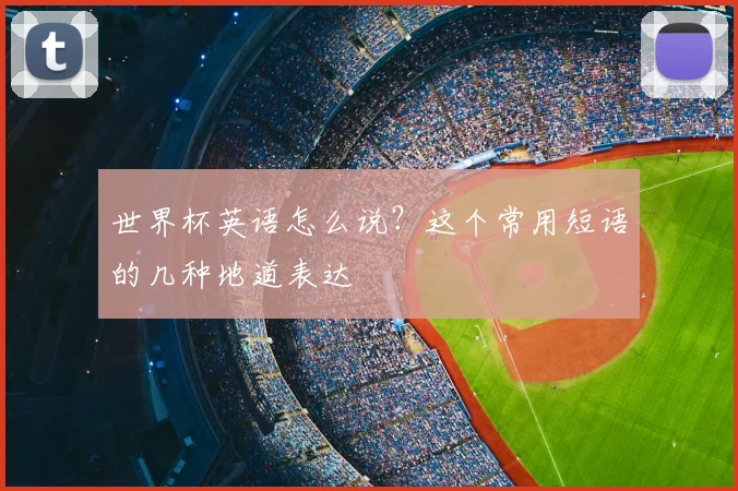 世界杯英语怎么说？这个常用短语的几种地道表达