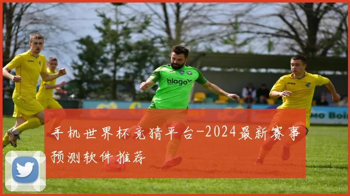 手机世界杯竞猜平台-2024最新赛事预测软件推荐